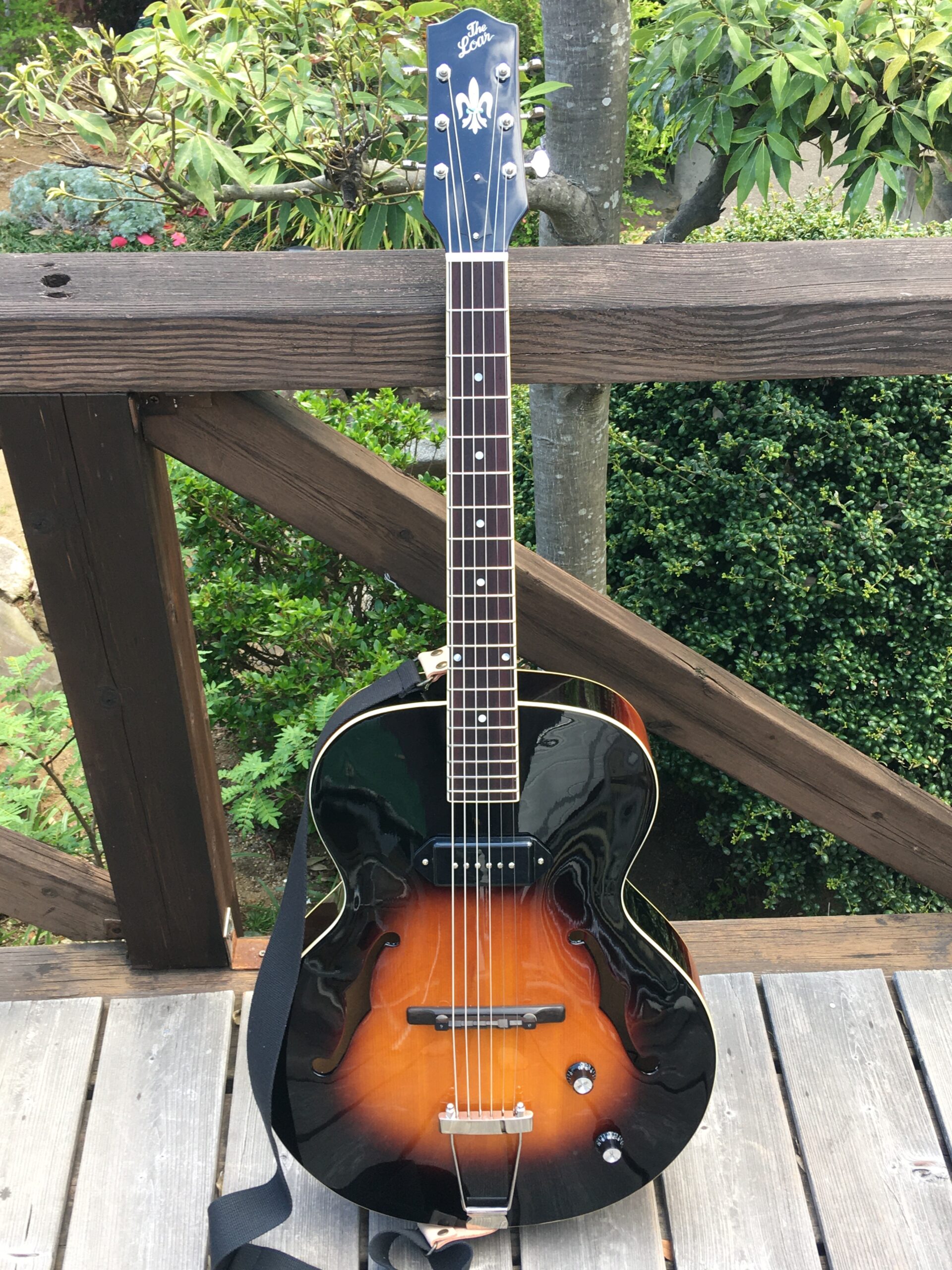 Loar LH-309 – Mizuki's music site